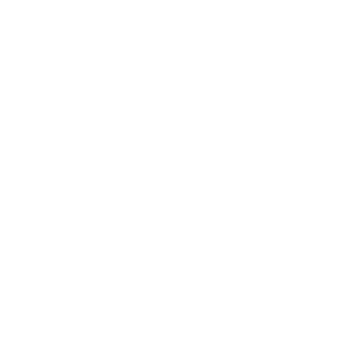 Bolivia to the World