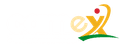 CAMEX Logo