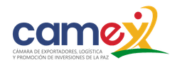 CAMEX Logo